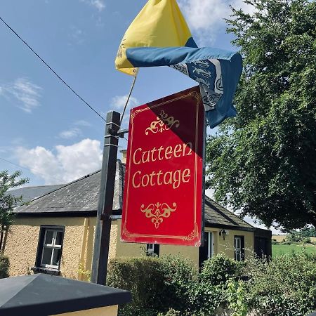 Cutteen Cottage Tulla Bagian luar foto